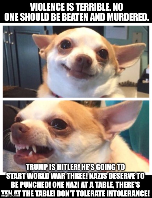 chihuahua bipolar | VIOLENCE IS TERRIBLE. NO ONE SHOULD BE BEATEN AND MURDERED. TRUMP IS HITLER! HE'S GOING TO START WORLD WAR THREE! NAZIS DESERVE TO BE PUNCHE | image tagged in chihuahua bipolar | made w/ Imgflip meme maker