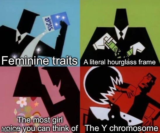 Powerpuff Girls Creation | Feminine traits; A literal hourglass frame; The most girl voice you can think of; The Y chromosome | image tagged in powerpuff girls creation | made w/ Imgflip meme maker