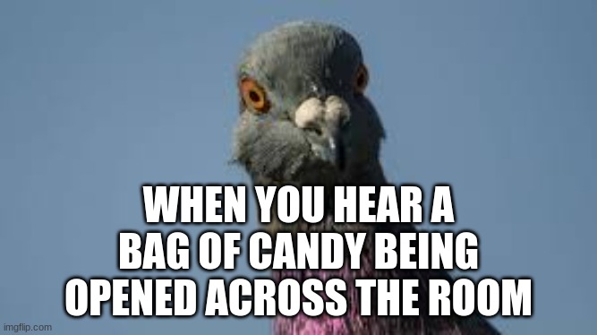 WHEN YOU HEAR A BAG OF CANDY BEING OPENED ACROSS THE ROOM | image tagged in school | made w/ Imgflip meme maker