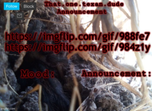 Which is better | https://imgflip.com/gif/988fe7
https://imgflip.com/gif/984z1y | image tagged in the that one texan dude announcement template | made w/ Imgflip meme maker