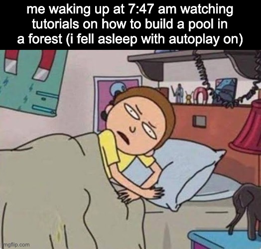 how the fuck did i get here | me waking up at 7:47 am watching tutorials on how to build a pool in a forest (i fell asleep with autoplay on) | image tagged in hey | made w/ Imgflip meme maker