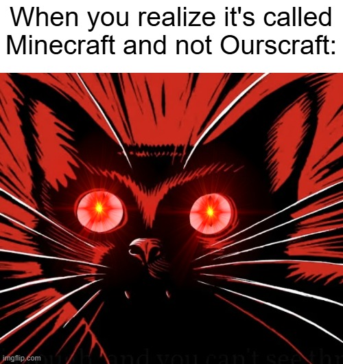 Ourscraft | When you realize it's called Minecraft and not Ourscraft: | image tagged in sabo tabby cat,minecraft,cats,communist cat,communist | made w/ Imgflip meme maker