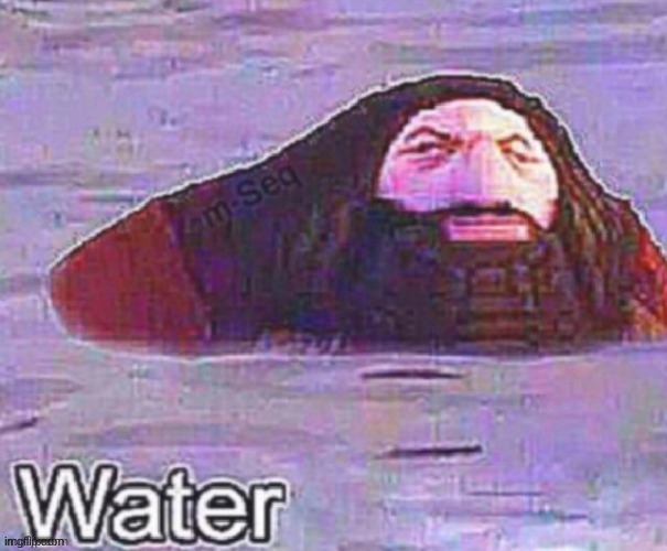 Water | image tagged in water | made w/ Imgflip meme maker