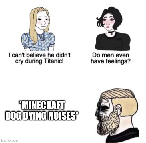 Image title | *MINECRAFT DOG DYING NOISES* | image tagged in chad crying | made w/ Imgflip meme maker