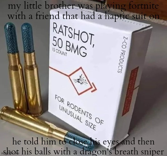 evil | my little brother was playing fortnite with a friend that had a haptic suit on; he told him to close his eyes and then shot his balls with a dragon's breath sniper | image tagged in ratshot 50 bmg | made w/ Imgflip meme maker