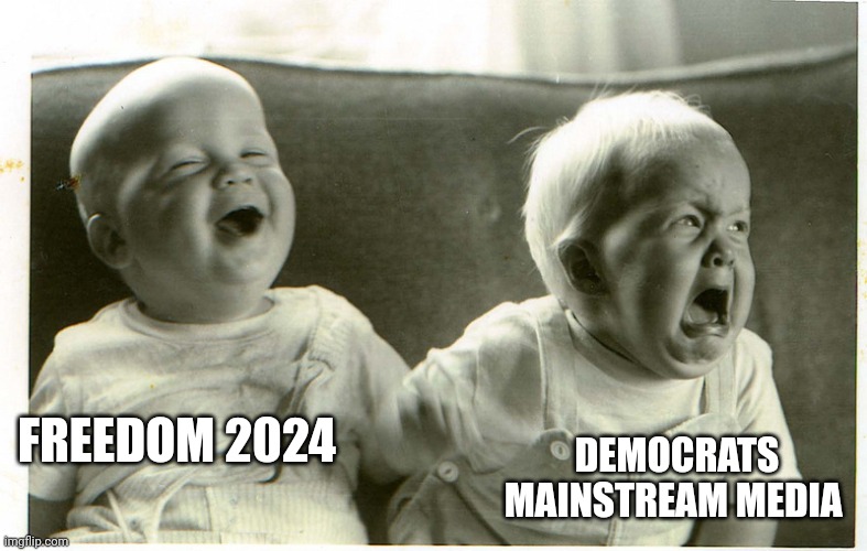 TRUMP 2024 | DEMOCRATS MAINSTREAM MEDIA; FREEDOM 2024 | image tagged in baby laughing baby crying | made w/ Imgflip meme maker