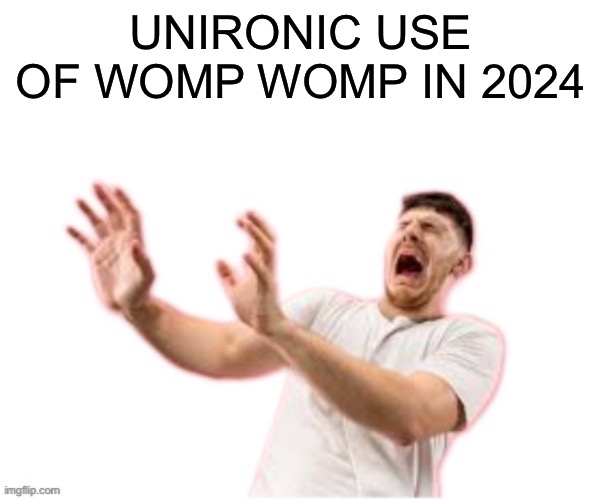 he left all caps on(custom) | UNIRONIC USE OF WOMP WOMP IN 2024 | image tagged in he left all caps on custom | made w/ Imgflip meme maker