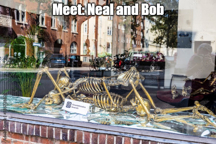 Meet: Neal and Bob | made w/ Imgflip meme maker