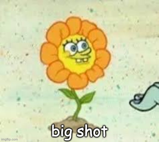 flowey | big shot | image tagged in flowey | made w/ Imgflip meme maker