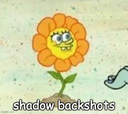 flowey | shadow backshots | image tagged in flowey | made w/ Imgflip meme maker