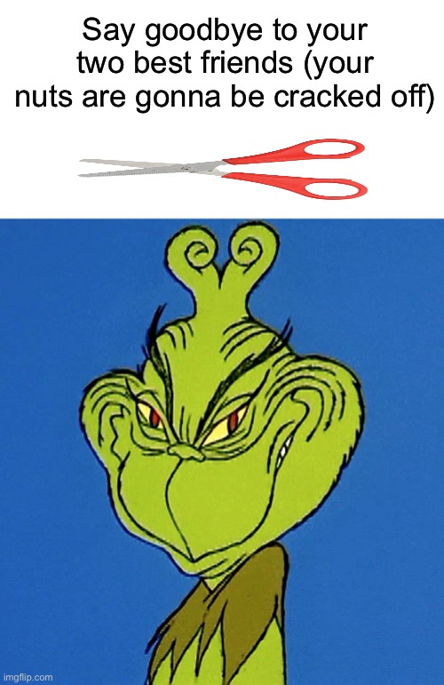 Grinch Smile | Say goodbye to your two best friends (your nuts are gonna be cracked off) | image tagged in grinch smile | made w/ Imgflip meme maker