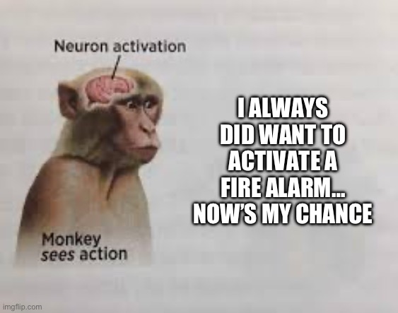 Neuron activation | I ALWAYS DID WANT TO ACTIVATE A FIRE ALARM… NOW’S MY CHANCE | image tagged in neuron activation | made w/ Imgflip meme maker