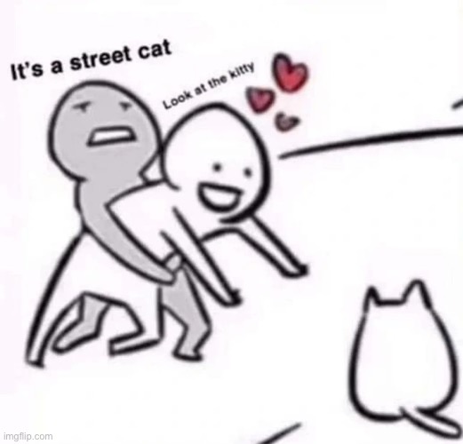 hold back from petting the kitty | image tagged in hold back from petting the kitty | made w/ Imgflip meme maker