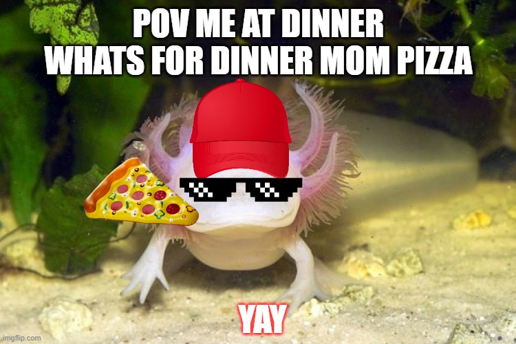 Axolotl | POV ME AT DINNER WHATS FOR DINNER MOM PIZZA; YAY | image tagged in axolotl | made w/ Imgflip meme maker