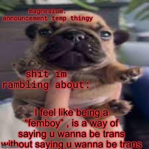 real or no? | I feel like being a “femboy” , is a way of saying u wanna be trans without saying u wanna be trans | image tagged in pug temp | made w/ Imgflip meme maker