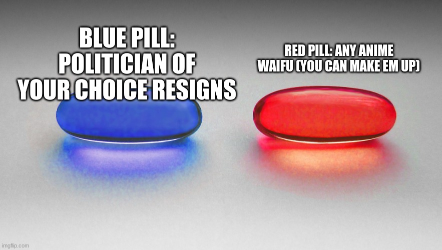 I usually don't make ppl smile *fact*   :( | BLUE PILL: POLITICIAN OF YOUR CHOICE RESIGNS; RED PILL: ANY ANIME WAIFU (YOU CAN MAKE EM UP) | image tagged in matrix - blue or red pill | made w/ Imgflip meme maker