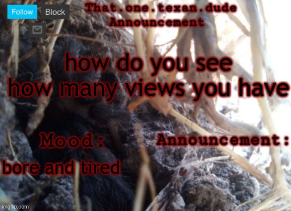 THE that.one.texan.dude announcement template | how do you see how many views you have; bore and tired | image tagged in the that one texan dude announcement template | made w/ Imgflip meme maker
