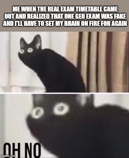 Oh shet | ME WHEN THE REAL EXAM TIMETABLE CAME OUT AND REALIZED THAT ONE GEO EXAM WAS FAKE AND I'LL HAVE TO SET MY BRAIN ON FIRE FOR AGAIN | image tagged in oh no cat | made w/ Imgflip meme maker