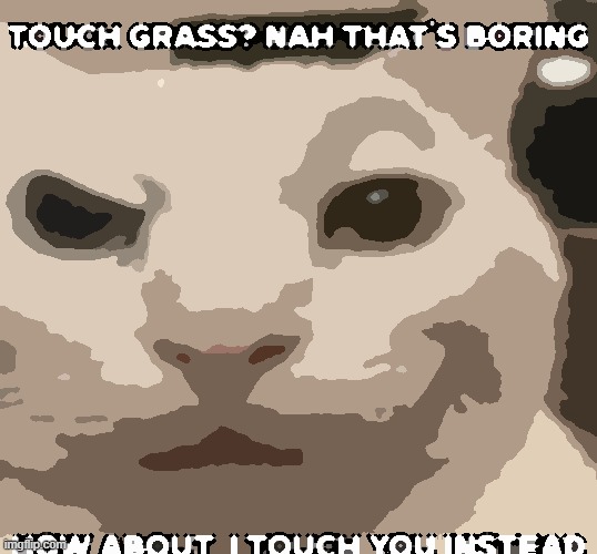 Touch grass? nah that's boring how about I touch you instead | image tagged in touch grass nah that's boring how about i touch you instead | made w/ Imgflip meme maker