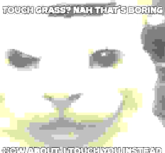 Touch grass? nah that's boring how about I touch you instead | image tagged in touch grass nah that's boring how about i touch you instead | made w/ Imgflip meme maker