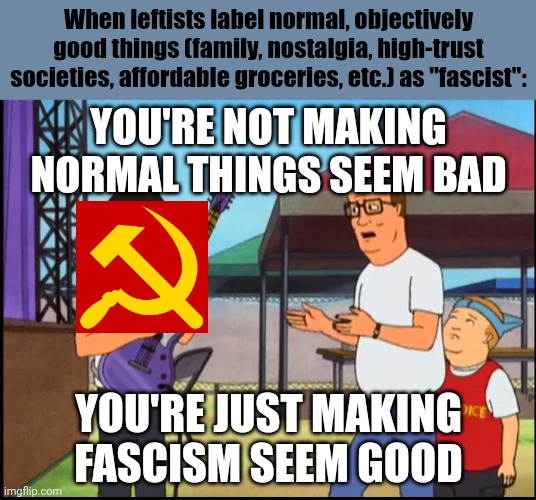 Turns out that the leftist tactic of labeling everything as "fascist" is having the opposite of its intended effect | When leftists label normal, objectively good things (family, nostalgia, high-trust societies, affordable groceries, etc.) as "fascist":; YOU'RE NOT MAKING NORMAL THINGS SEEM BAD; YOU'RE JUST MAKING FASCISM SEEM GOOD | image tagged in not making christianity better,fascism,fascist,leftists,leftist | made w/ Imgflip meme maker