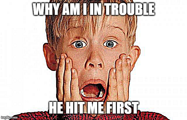 my favrorite chaperone | WHY AM I IN TROUBLE; HE HIT ME FIRST | image tagged in too damn high | made w/ Imgflip meme maker