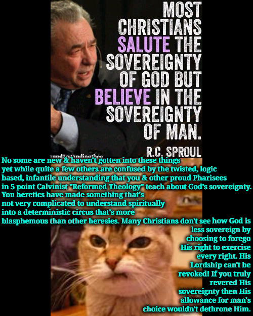 Another Asinine Sproul Quote | No some are new & haven't gotten into these things yet while quite a few others are confused by the twisted, logic based, infantile understanding that you & other proud Pharisees in 5 point Calvinist "Reformed Theology" teach about God's sovereignty. how God is less sovereign by choosing to forego His right to exercise every right. His Lordship can't be revoked! If you truly revered His sovereignty then His allowance for man's choice wouldn't dethrone Him. You heretics have made something that's not very complicated to understand spiritually into a deterministic circus that's more blasphemous than other heresies. Many Christians don't see | image tagged in calvinism,5 point calvinist preachers,reformed theology,arminian,molinism,logic based blasphemous puppetry | made w/ Imgflip meme maker