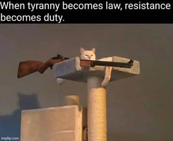 LOL!! | image tagged in tyranny,resistance,duty,law | made w/ Imgflip meme maker