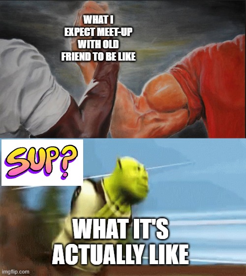 school friend | WHAT I EXPECT MEET-UP WITH OLD FRIEND TO BE LIKE; WHAT IT'S ACTUALLY LIKE | image tagged in black white arms,school | made w/ Imgflip meme maker