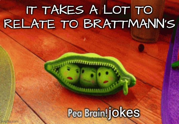 IT TAKES A LOT TO RELATE TO BRATTMANN'S jokes | made w/ Imgflip meme maker