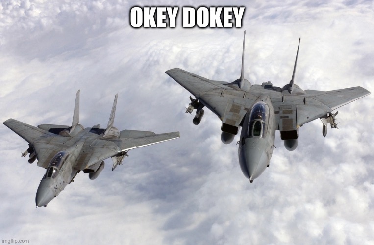 f 14 tomcat | OKEY DOKEY | image tagged in f 14 tomcat | made w/ Imgflip meme maker