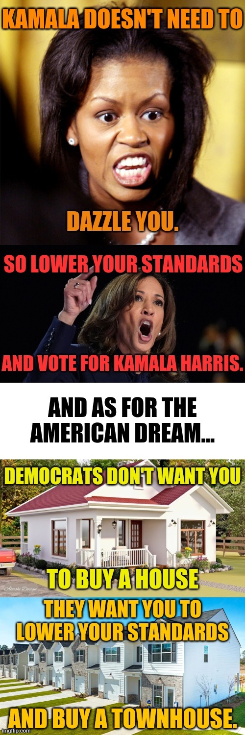 Democrats Want You To Lower Your Standards | image tagged in memes,michelle obama,lower,standards,vote,kamala harris | made w/ Imgflip meme maker