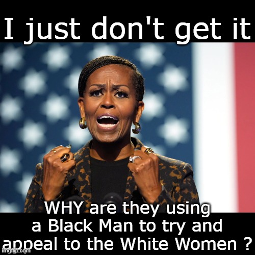 Does this work ? | I just don't get it; WHY are they using a Black Man to try and appeal to the White Women ? | image tagged in big mike kamala white women voters meme | made w/ Imgflip meme maker