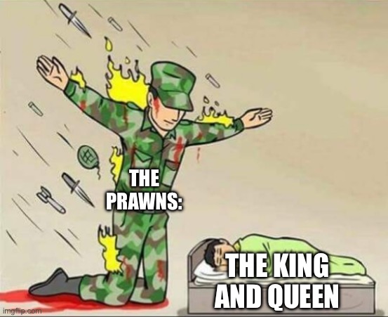 Soldier protecting sleeping child | THE PRAWNS:; THE KING AND QUEEN | image tagged in soldier protecting sleeping child | made w/ Imgflip meme maker