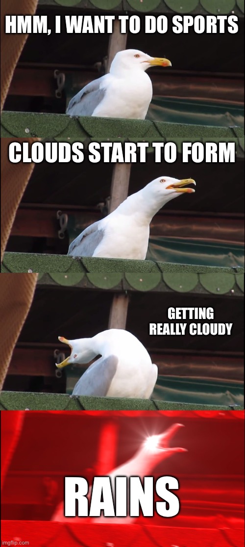 When you want to do sports for once | HMM, I WANT TO DO SPORTS; CLOUDS START TO FORM; GETTING REALLY CLOUDY; RAINS | image tagged in memes,inhaling seagull,rain,weather | made w/ Imgflip meme maker