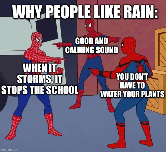 Why people like rain | WHY PEOPLE LIKE RAIN:; GOOD AND CALMING SOUND; WHEN IT STORMS, IT STOPS THE SCHOOL; YOU DON'T HAVE TO WATER YOUR PLANTS | image tagged in spider man triple,rain,storm | made w/ Imgflip meme maker