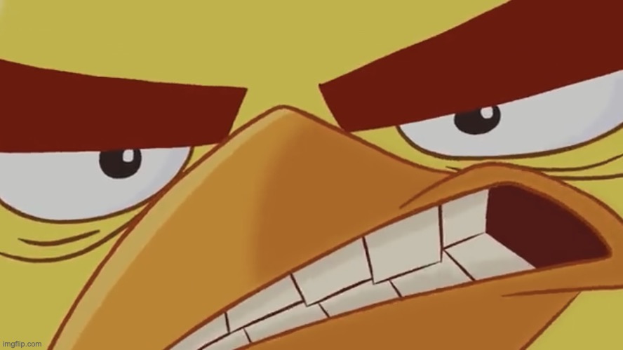 Dank Bird (Template Edition) | image tagged in dank bird template edition | made w/ Imgflip meme maker