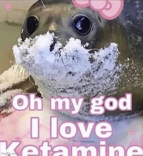 Same | made w/ Imgflip meme maker