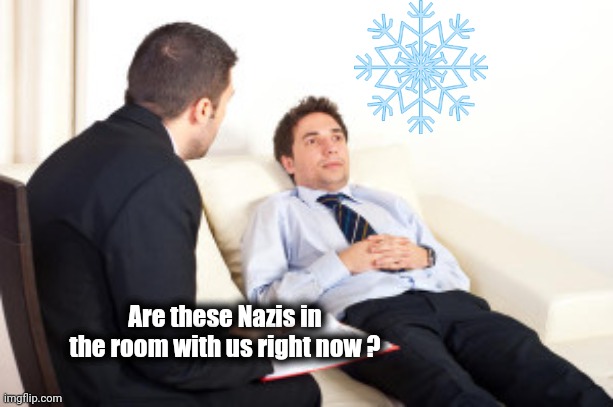 psychiatrist | Are these Nazis in the room with us right now ? | image tagged in psychiatrist | made w/ Imgflip meme maker