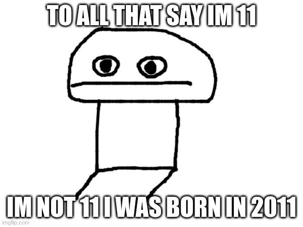 I am NOT 11 | TO ALL THAT SAY IM 11; IM NOT 11 I WAS BORN IN 2011 | image tagged in i am 13 | made w/ Imgflip meme maker