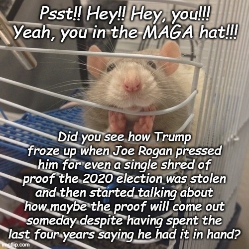 "Well, well, well... how the turntables..." *OR* "So dumb even a drug-abusing comedian can catch him in a lie." | Psst!! Hey!! Hey, you!!! Yeah, you in the MAGA hat!!! Did you see how Trump froze up when Joe Rogan pressed him for even a single shred of proof the 2020 election was stolen and then started talking about how maybe the proof will come out someday despite having spent the last four years saying he had it in hand? | image tagged in soooo,backtrack,joe rogan,caught,donald trump,lying | made w/ Imgflip meme maker