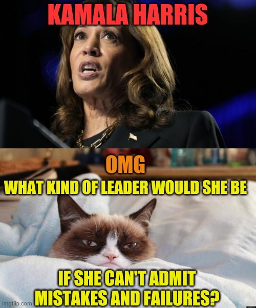 Think About It | KAMALA HARRIS; OMG; WHAT KIND OF LEADER WOULD SHE BE; IF SHE CAN'T ADMIT MISTAKES AND FAILURES? | image tagged in grumpy cat bed,kamala harris,won't,admit it,mistakes,failure | made w/ Imgflip meme maker