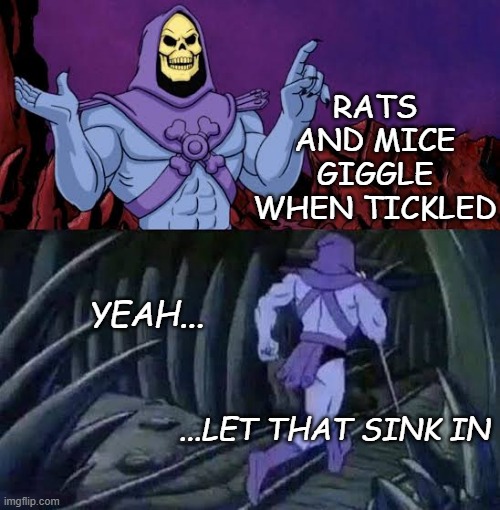 Disturbing Facts with Skeletor | RATS AND MICE GIGGLE WHEN TICKLED; YEAH... ...LET THAT SINK IN | image tagged in the more you know skelletor | made w/ Imgflip meme maker