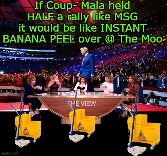 Of course it would be NAZI FREE | If Coup- Mala held HALF a rally like MSG it would be like INSTANT BANANA PEEL over @ The Moo | image tagged in the view wet floor kamala msg rally meme | made w/ Imgflip meme maker