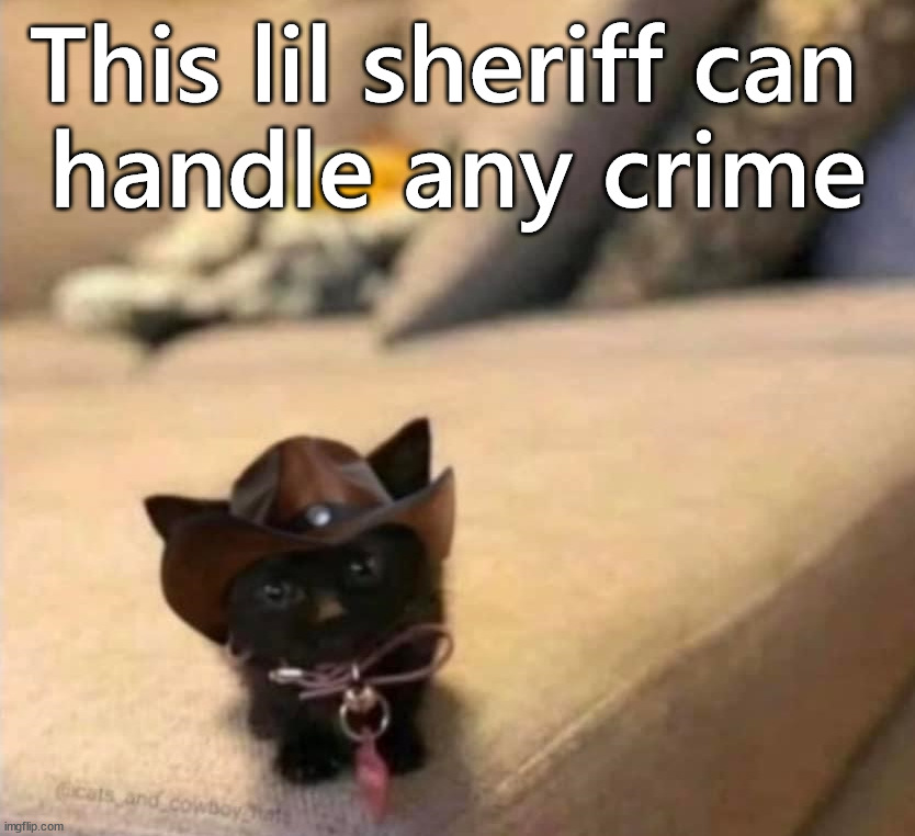 Little guy | This lil sheriff can 
handle any crime | image tagged in cats | made w/ Imgflip meme maker