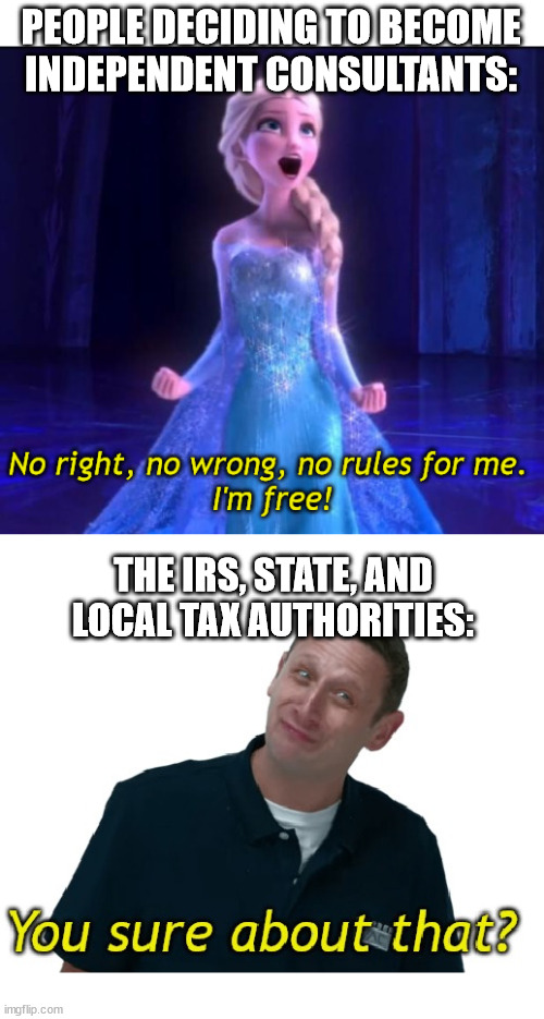 Becoming an Independent Consultant | PEOPLE DECIDING TO BECOME INDEPENDENT CONSULTANTS:; THE IRS, STATE, AND LOCAL TAX AUTHORITIES: | image tagged in i'm free you sure about that elsa and tim robinson | made w/ Imgflip meme maker