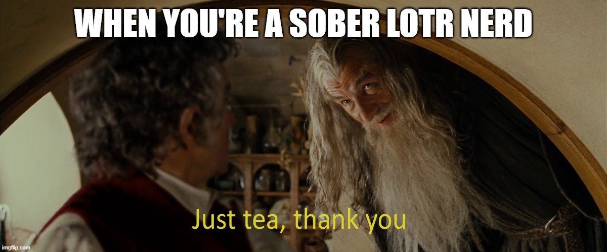 Sober Gandalf | WHEN YOU'RE A SOBER LOTR NERD | image tagged in sober,sobriety | made w/ Imgflip meme maker