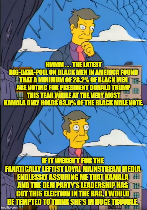 But fortunately the MSM is telling us that Kamala can't lose . . . and they are never wrong. | HMMM . . . THE LATEST BIG-DATA-POLL ON BLACK MEN IN AMERICA FOUND THAT A MINIMUM OF 28.2% OF BLACK MEN ARE VOTING FOR PRESIDENT DONALD TRUMP THIS YEAR WHILE AT THE VERY MOST KAMALA ONLY HOLDS 63.9% OF THE BLACK MALE VOTE. IF IT WEREN'T FOR THE FANATICALLY LEFTIST LOYAL MAINSTREAM MEDIA ENDLESSLY ASSURING ME THAT KAMALA AND THE DEM PARTY'S LEADERSHIP HAS GOT THIS ELECTION IN THE BAG, I WOULD BE TEMPTED TO THINK SHE'S IN HUGE TROUBLE. | image tagged in skinner out of touch | made w/ Imgflip meme maker