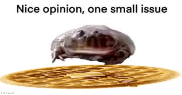 Nice opinion, one small issue | image tagged in nice opinion one small issue | made w/ Imgflip meme maker