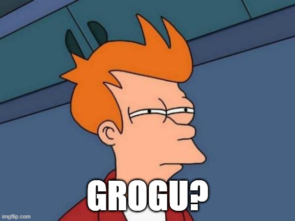 Futurama Fry Meme | GROGU? | image tagged in memes,futurama fry | made w/ Imgflip meme maker